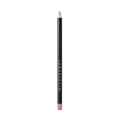 LIP LINER (DELINEADOR DE LABIOS)